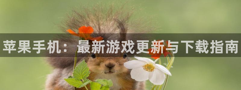 辉达娱乐官网