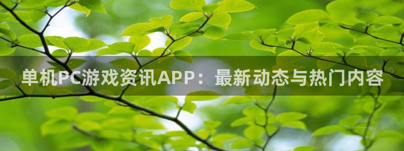 沐春辉达娱乐：单机PC游戏资讯APP：最新动态与热门内容