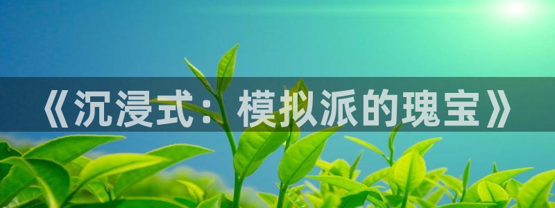 辉达娱乐主管：《沉浸式：模拟派的瑰宝》