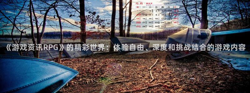 辉达娱乐咨询：《游戏资讯RPG》的精彩世界：体验自由、深度和