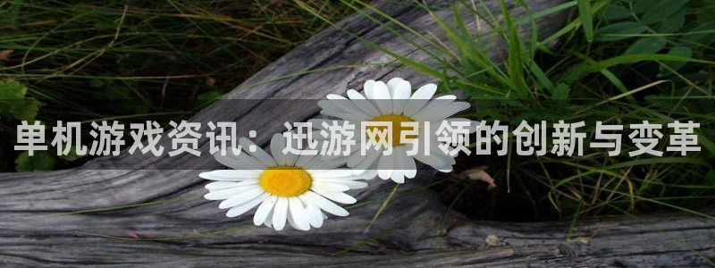 辉达娱乐app：单机游戏资讯：迅游网引领的创新与变革