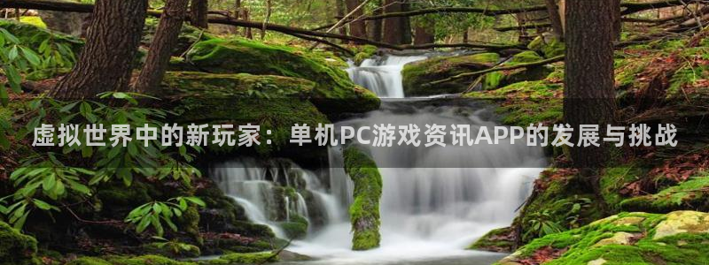 辉达娱乐登录地址：虚拟世界中的新玩家：单机PC游戏资讯APP