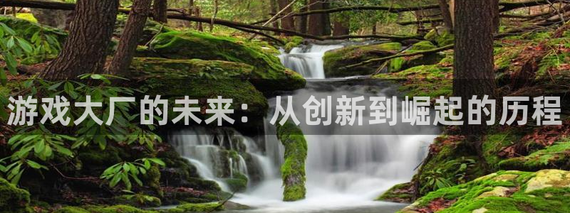 辉达娱乐注册服务条款：游戏大厂的未来：从创新到崛起的历程