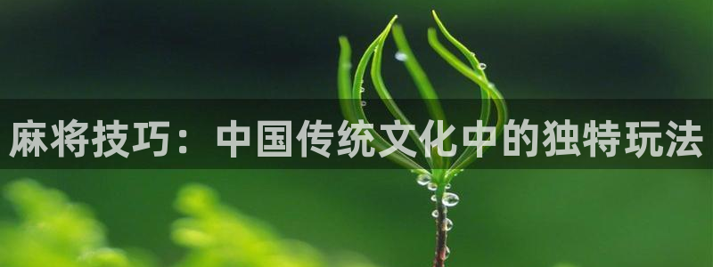 辉达娱乐测速登陆