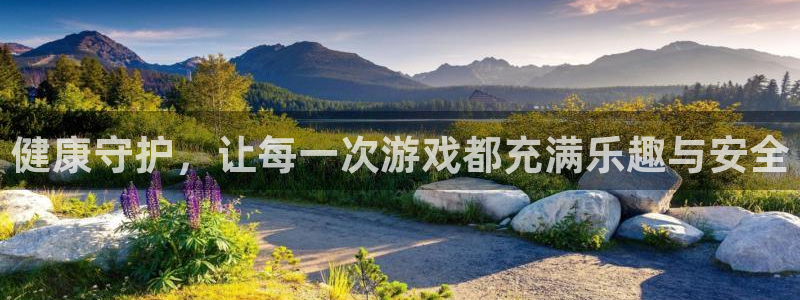 辉达娱乐注册登录：健康守护，让每一次游戏都充满乐趣与安全