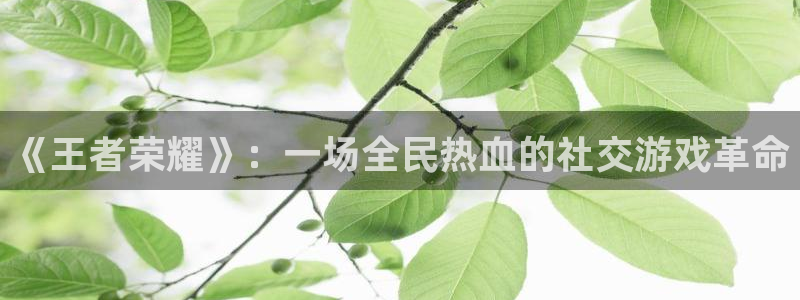 辉达娱乐注册地址：《王者荣耀》：一场全民热血的社交游戏革命